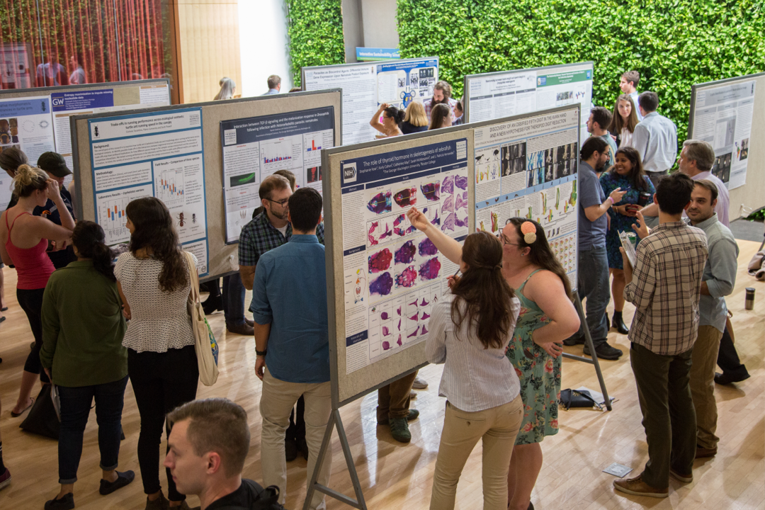 research posters